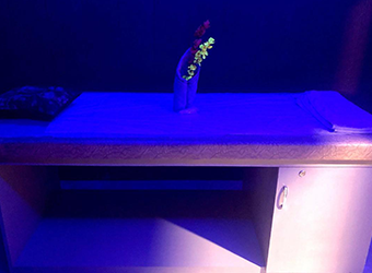 massage therapy beautiful bed